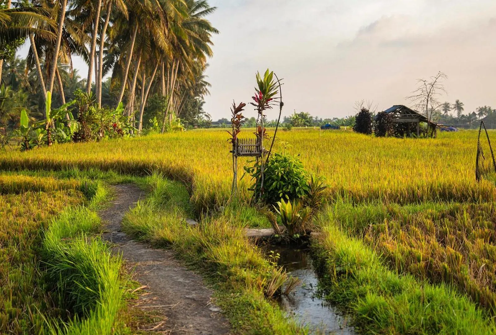 Zango - Fieldside Luxe 4Br Villa In Ubud