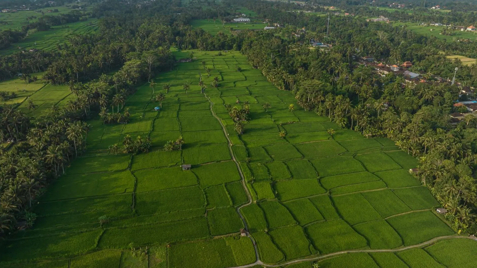 Zango - Fieldside Luxe 4Br Villa In Ubud  Ubud (Bali)